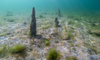 © Jochen Reinhard, Archäologische Tauchprospektionen Zug